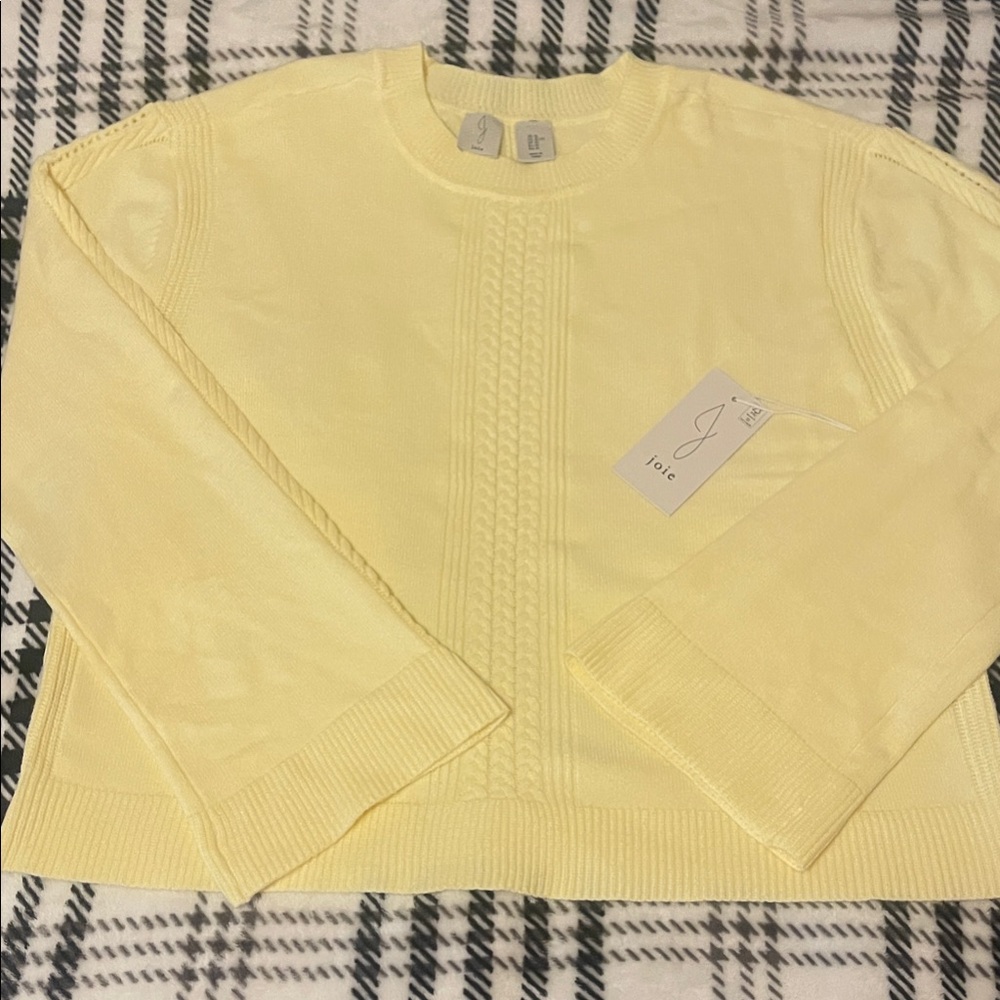Beautiful Women’s Joie Lemon Crew Neck Sweater